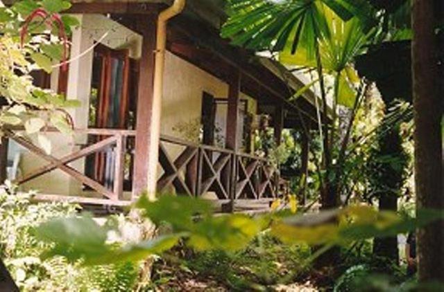 Daintree Deep Forest Lodge Cape Tribulation Dış mekan fotoğraf