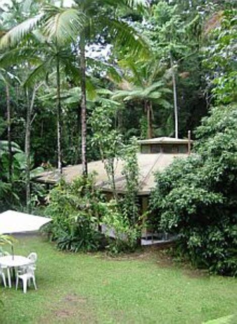 Daintree Deep Forest Lodge Cape Tribulation Dış mekan fotoğraf