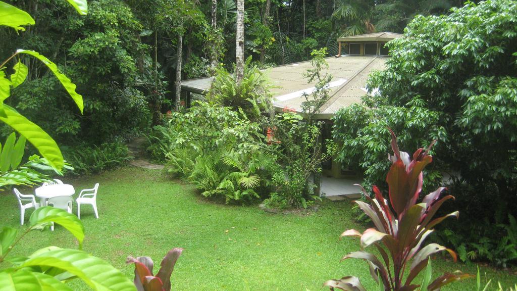 Daintree Deep Forest Lodge Cape Tribulation Dış mekan fotoğraf