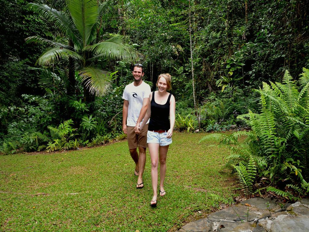 Daintree Deep Forest Lodge Cape Tribulation Dış mekan fotoğraf