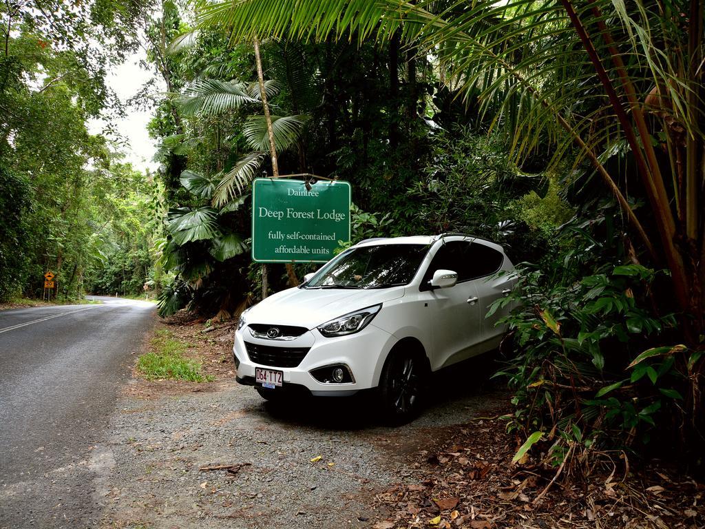 Daintree Deep Forest Lodge Cape Tribulation Dış mekan fotoğraf