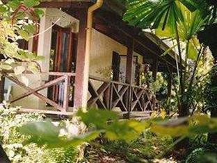 Daintree Deep Forest Lodge Cape Tribulation Dış mekan fotoğraf